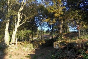 Senderos y bosques en la Quinta da Calma