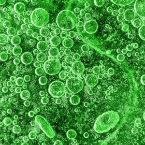microbios e higienismo